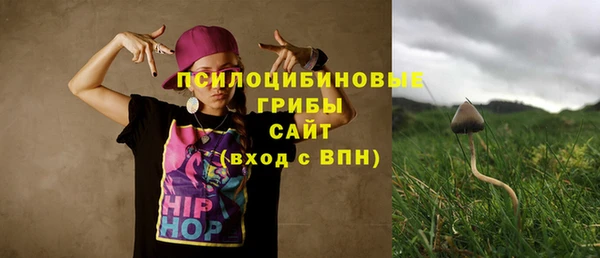 a pvp Арсеньев