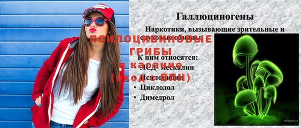 a pvp Арсеньев