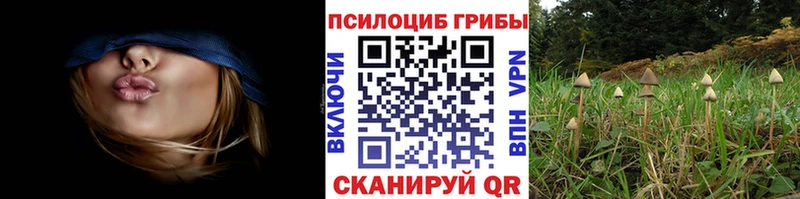 наркошоп  Советский  Галлюциногенные грибы Cubensis 